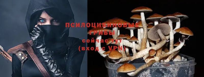 Псилоцибиновые грибы Magic Shrooms  продажа наркотиков  Белорецк 